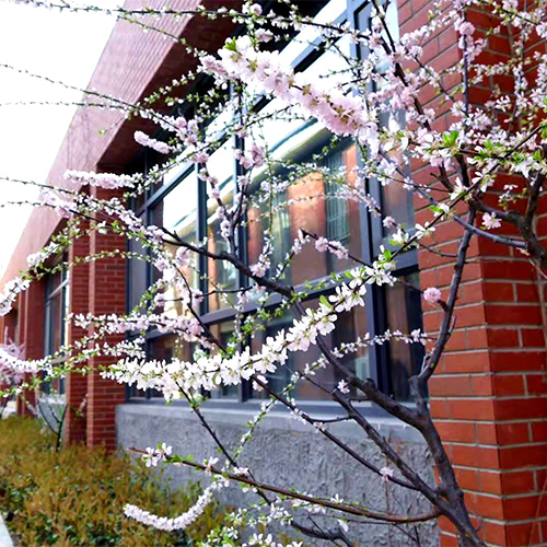 大學(xué)志