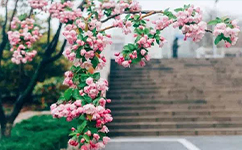 青島大學 - 我的大學