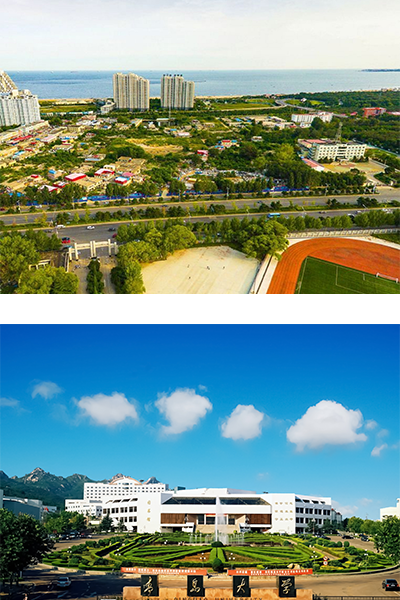青島大學