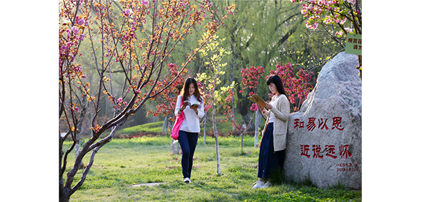我的大學-大學志
