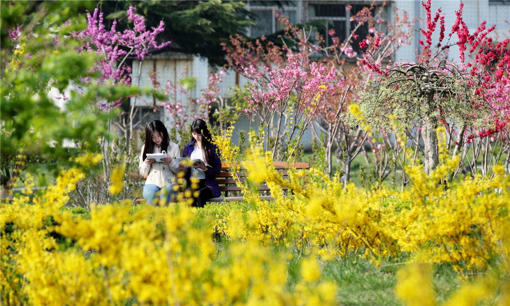 中國最美大學