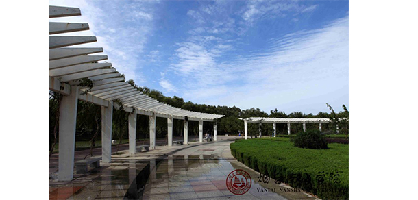 我的大學(xué)-大學(xué)志
