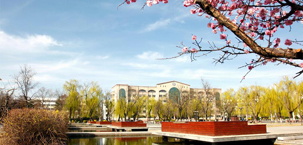 我的大學-大學志