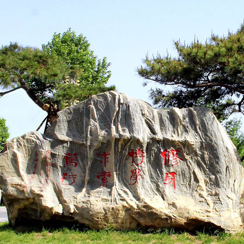 大學(xué)志