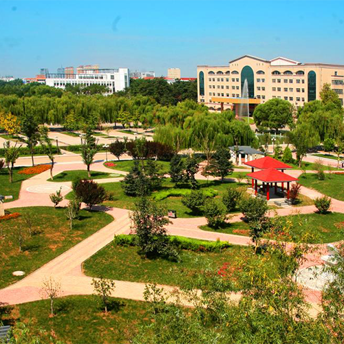 我的大學(xué)