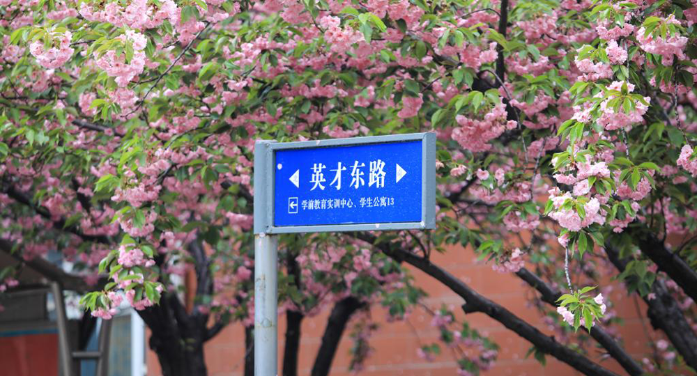 時(shí)光匆匆，歲月如歌！——珍惜自己最美好的時(shí)光，珍惜時(shí)下，放肆而不張揚(yáng)的青春年華。