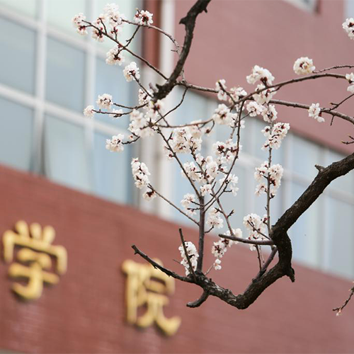 山東英才學院-流金歲月