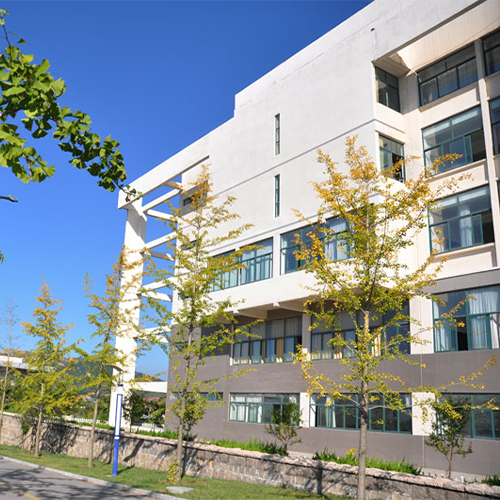 最美大學