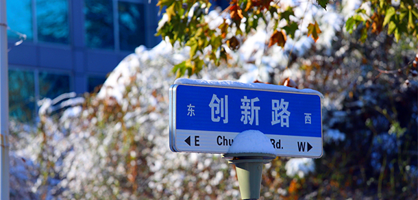 我的大學(xué)-大學(xué)志