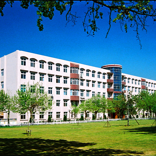 我的大學(xué)