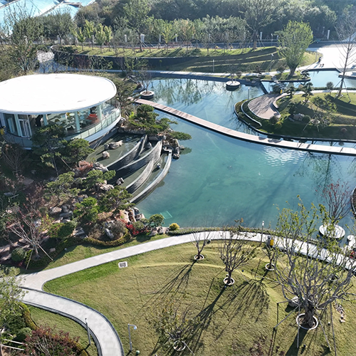 青島科技大學-流金歲月