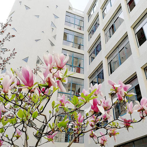 大學(xué)志