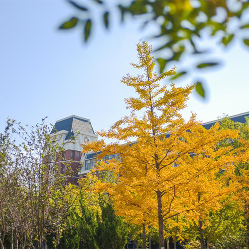 我的大學(xué)