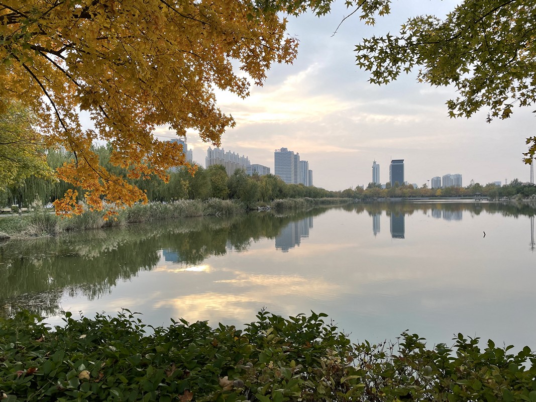 山東石油化工學(xué)院 早安青春