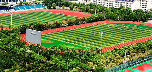 山東外事職業(yè)大學 - 最美大學