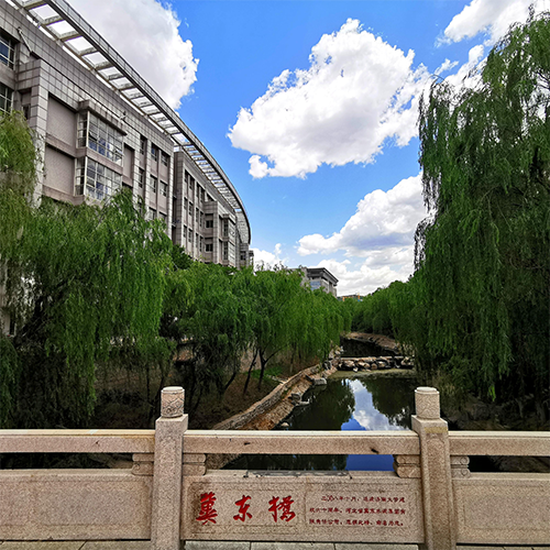 我的大學