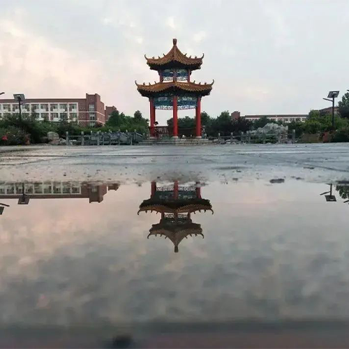 齊魯師范學院-大學文化