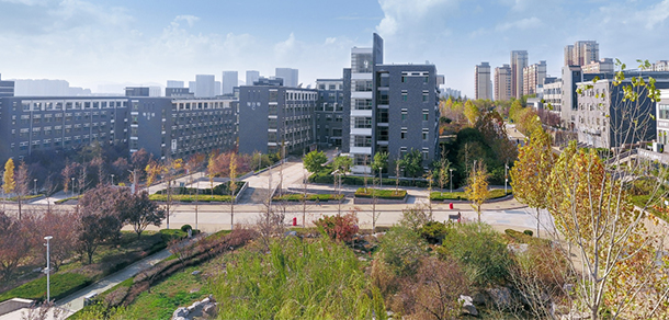我的大學(xué)-大學(xué)志