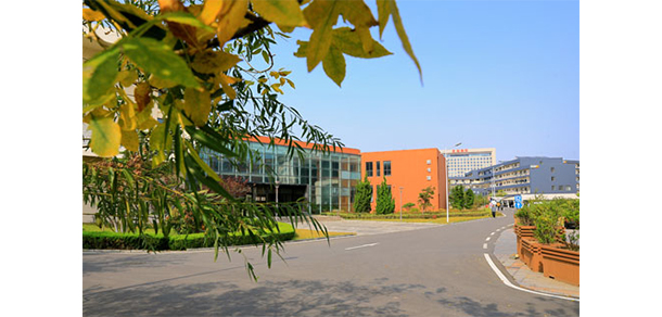 青島電影學院 - 最美大學