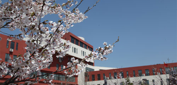 青島電影學院 - 最美大學
