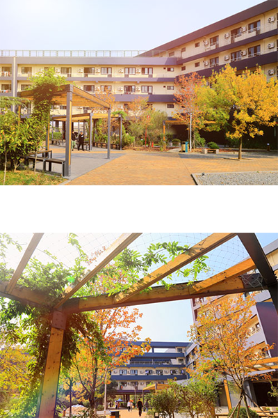 青島電影學院