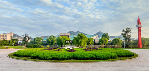 山東管理學院