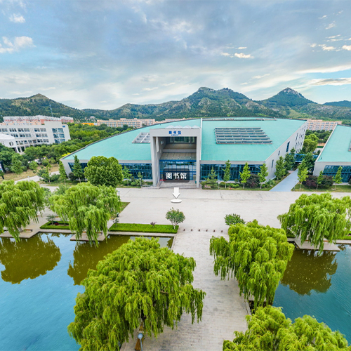 我的大學(xué)