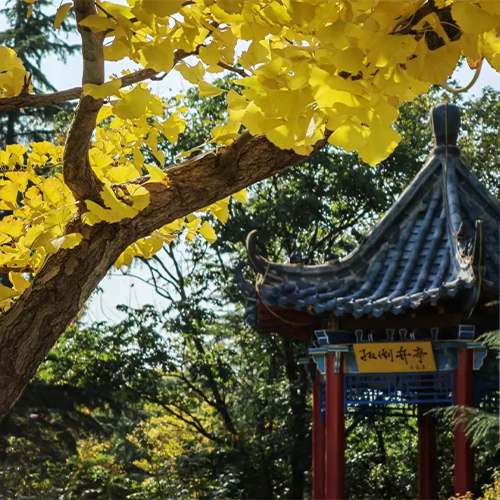 大學(xué)簡介