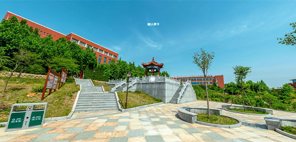 我的大學(xué)-大學(xué)志