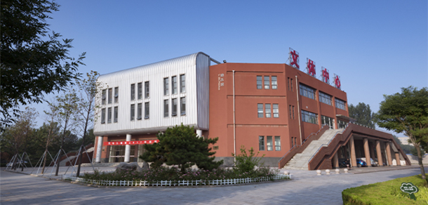 我的大學(xué)-大學(xué)志