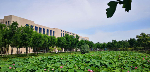 東營(yíng)職業(yè)學(xué)院 - 最美大學(xué)
