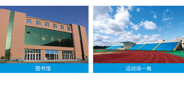 我的大學(xué)-大學(xué)志