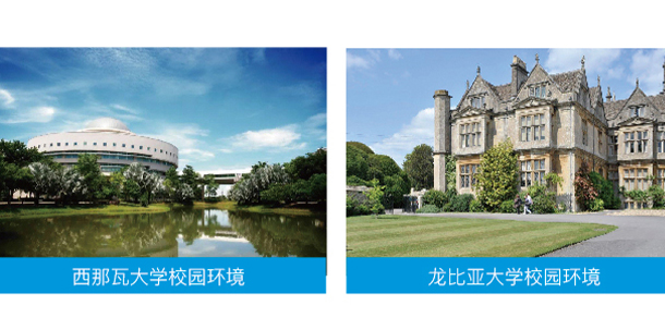 我的大學(xué)-大學(xué)志