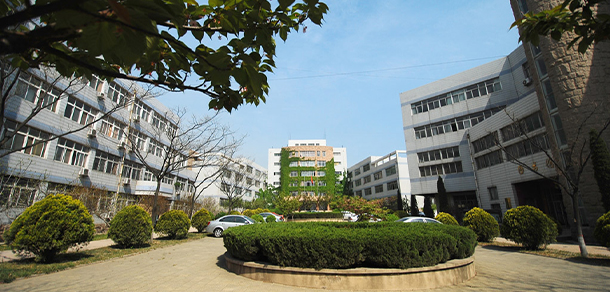 我的大學(xué)-大學(xué)志