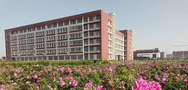我的大學-大學志