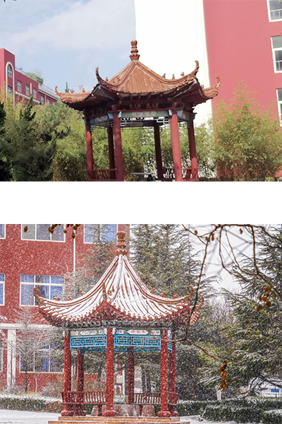 歲月流金 · 青春不散場(chǎng)