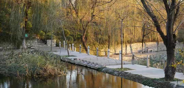淄博師范高等專科學(xué)校 - 最美大學(xué)