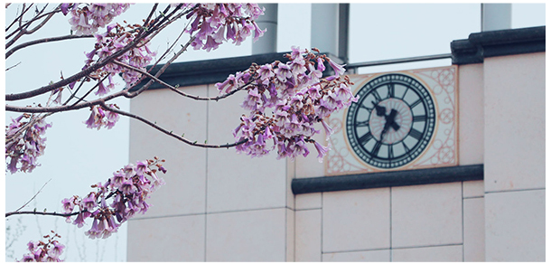 我的大學-大學志