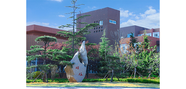 我的大學-大學志