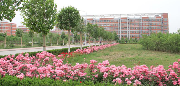 我的大學(xué)-大學(xué)志