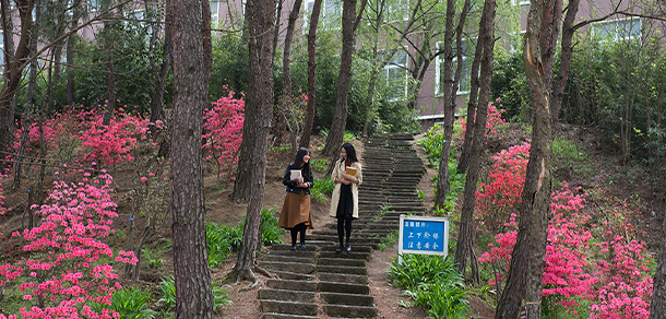 信陽(yáng)學(xué)院 - 最美大學(xué)