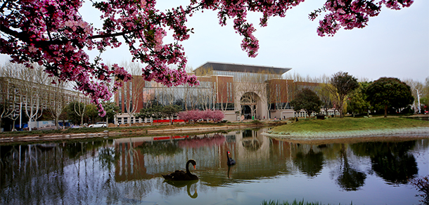 商丘學院