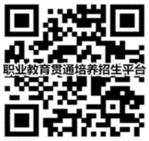 二維碼在線進行報考、計劃查詢、錄取查詢