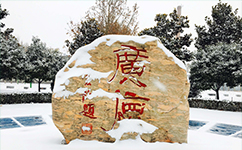 歷史沿革（概）校史