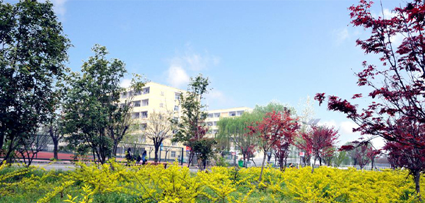 駐馬店職業(yè)技術(shù)學院 - 最美大學