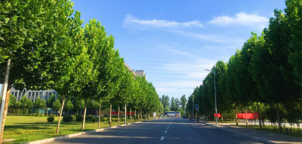 河南護(hù)理職業(yè)學(xué)院 - 最美大學(xué)