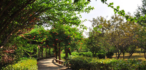 我的大學-大學志