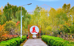 文化標(biāo)識：校名題寫 / ?；赵O(shè)計
