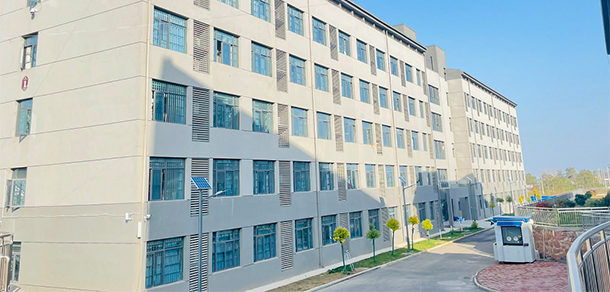 我的大學(xué)-大學(xué)志