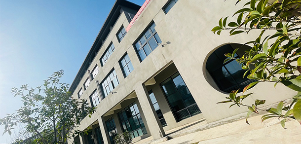 我的大學(xué)-大學(xué)志